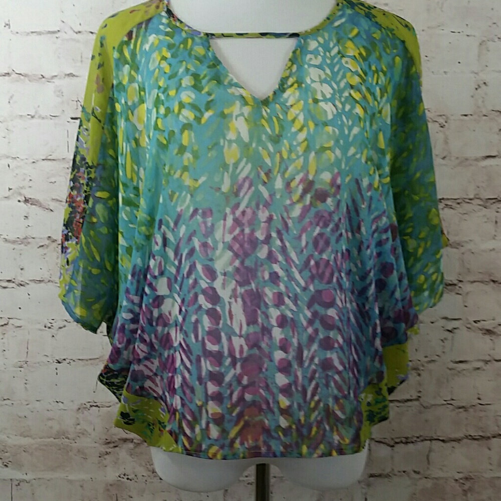 Anthropologie Fig and Flowers sheer top
